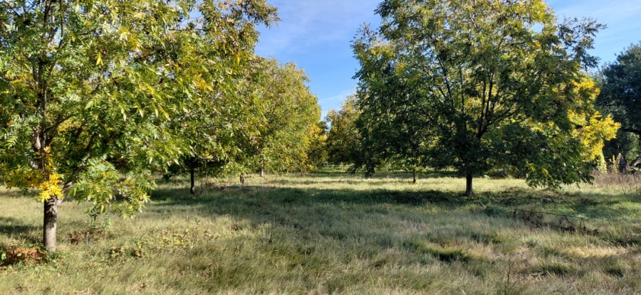 Commercial Property for Sale in Jan Kempdorp Rural Northern Cape